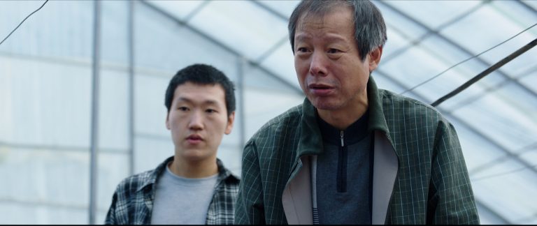 morning in autumn-still2